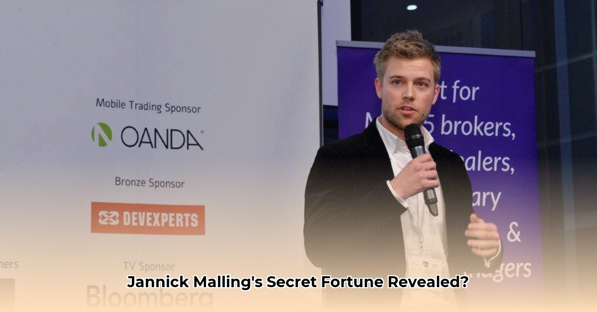 jannick-malling-net-worth